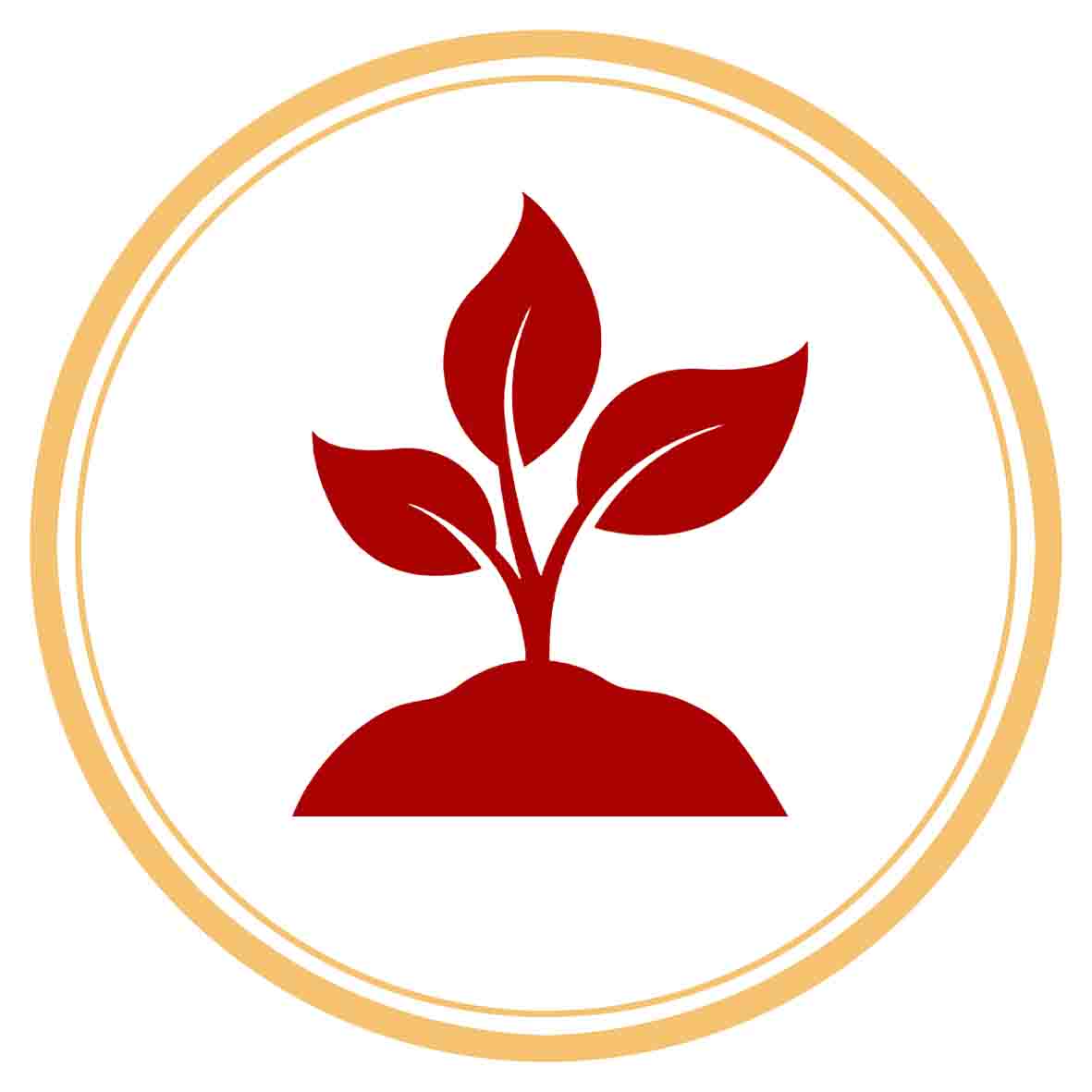 کودک و نوجوان